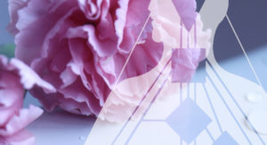 ヒューマンデザイン